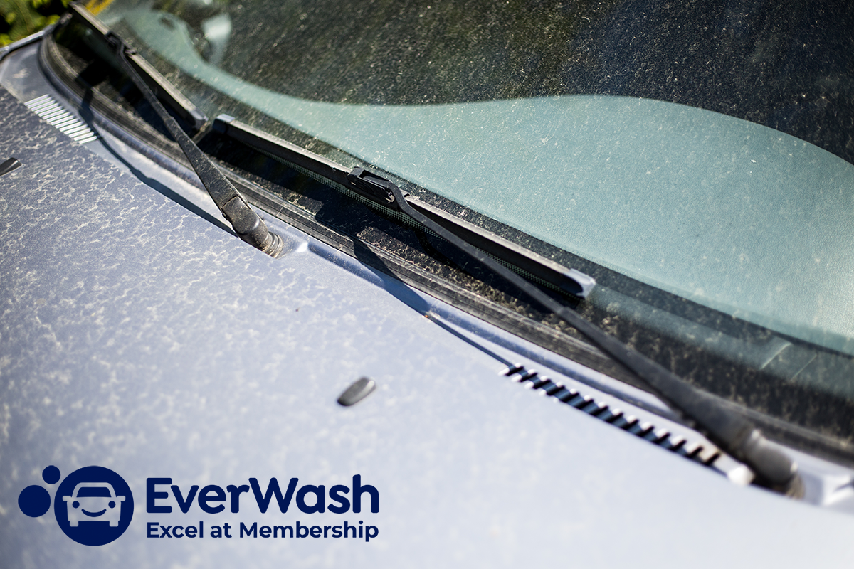 Capitalizing on Pollen Season Marketing Strategies for Car Washes